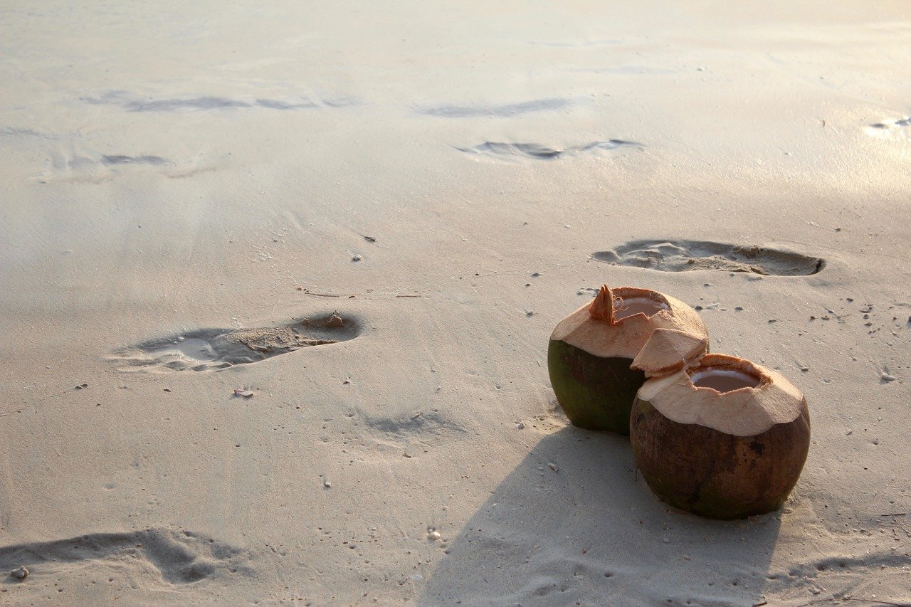 coconuts are a healthy superfood