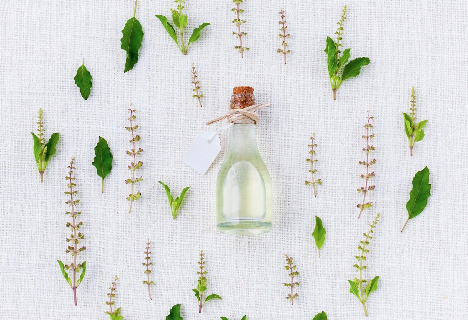 the health benefits of using an essential oil