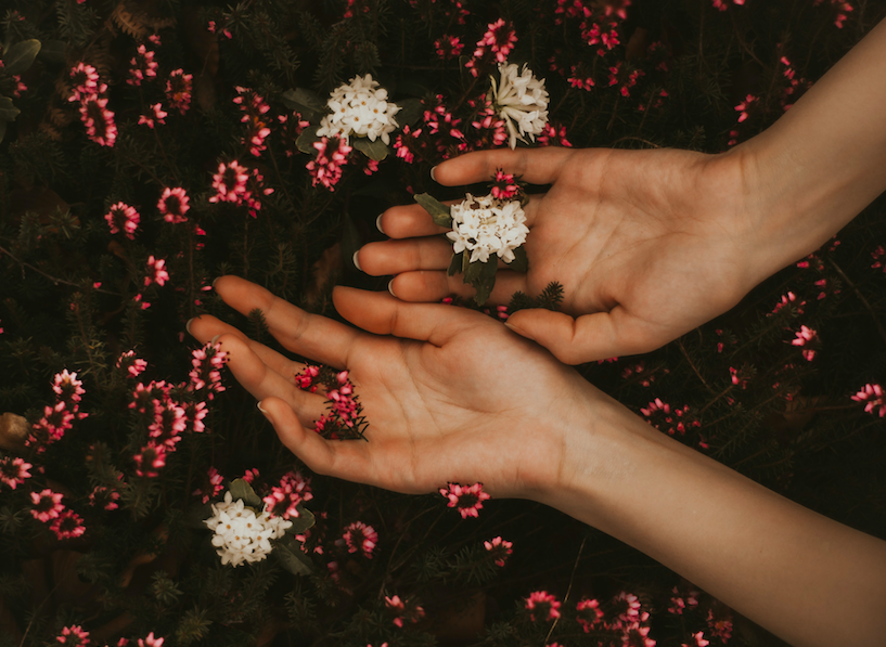 Hands facing palm up, lying in a bed of pink and white flowers.