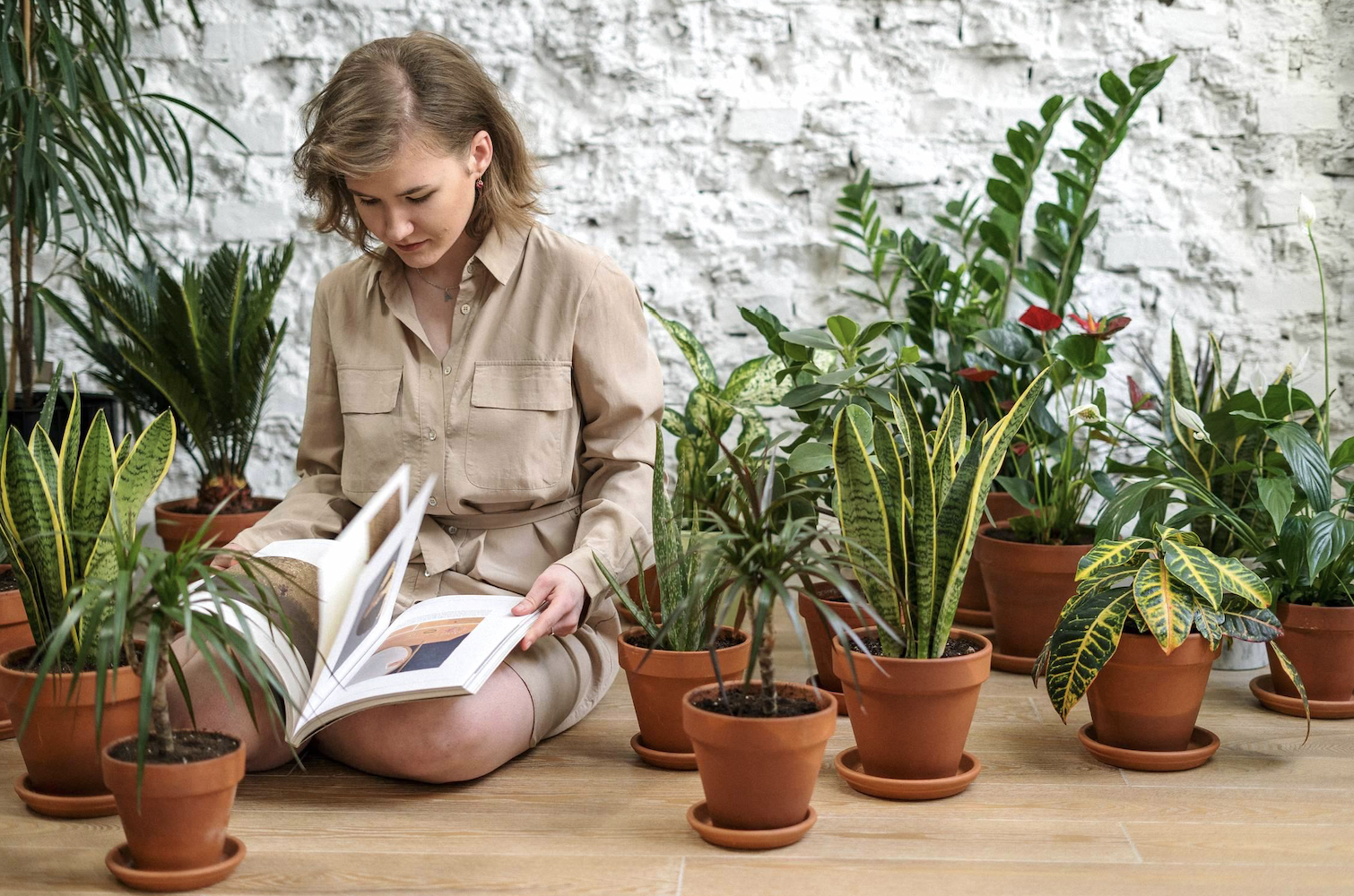woman with indoor plants