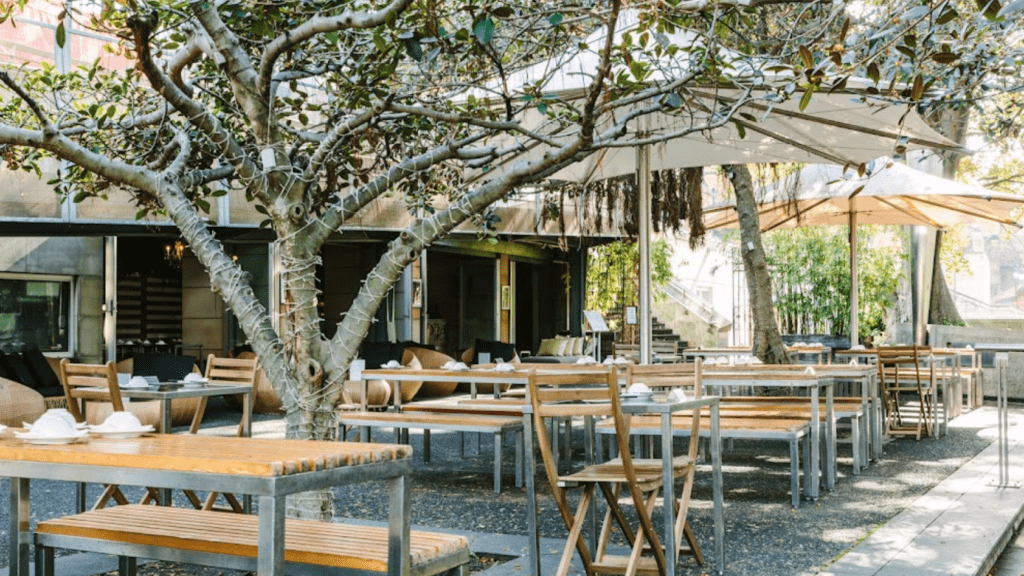 Bodhi restaurant