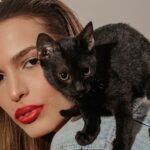 the black cat theory for women