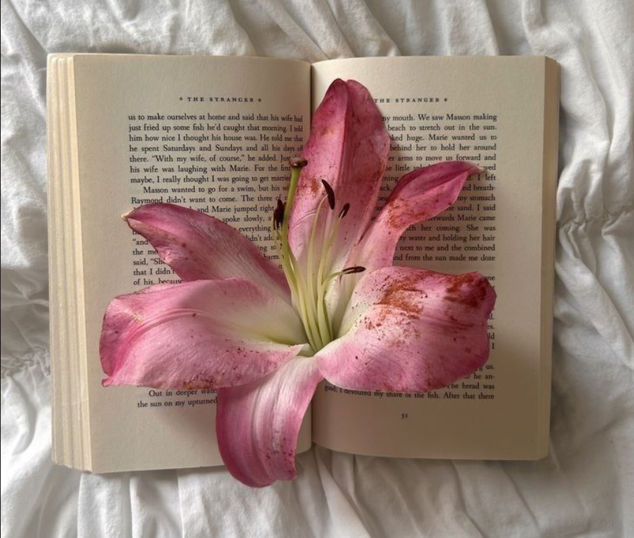 Book with blooming hibiscus 